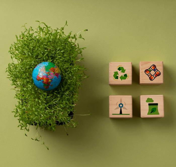 Tư vấn xanh - Green consulting